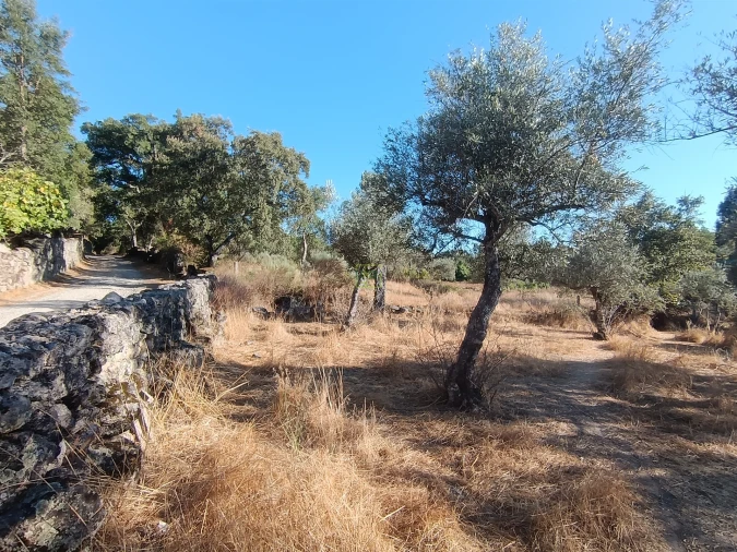 Terreno Agricola ou Rústico para Venda em Aldeia do Bispo, Águas e Aldeia de João Pires Foto 25