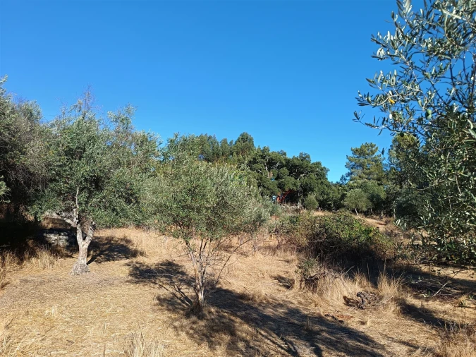 Terreno Agricola ou Rústico para Venda em Aldeia do Bispo, Águas e Aldeia de João Pires Foto 14