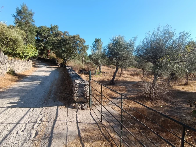 Terreno Agricola ou Rústico para Venda em Aldeia do Bispo, Águas e Aldeia de João Pires Foto 7