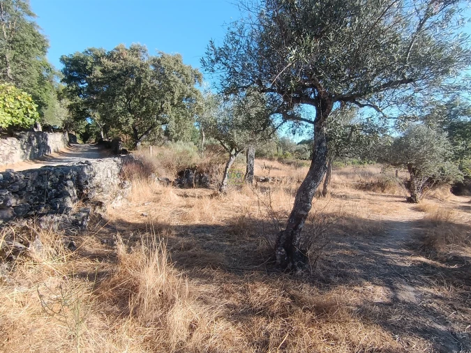 Terreno Agricola ou Rústico para Venda em Aldeia do Bispo, Águas e Aldeia de João Pires Foto 27