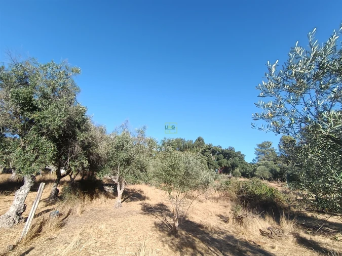 Terreno Agricola ou Rústico para Venda em Aldeia do Bispo, Águas e Aldeia de João Pires Foto 17