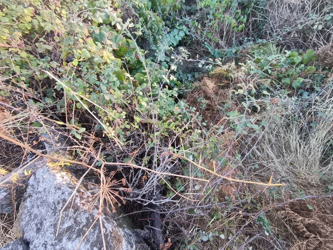 Terreno Agricola ou Rústico para Venda em Aldeia do Bispo, Águas e Aldeia de João Pires Foto 19
