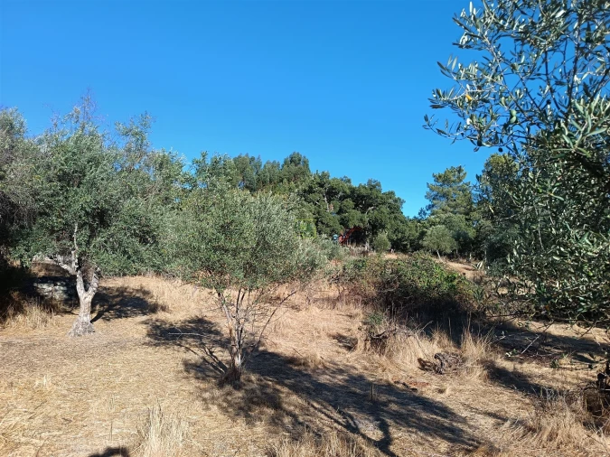 Terreno Agricola ou Rústico para Venda em Aldeia do Bispo, Águas e Aldeia de João Pires Foto 12