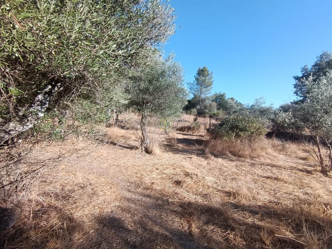 Terreno Agricola ou Rústico para Venda em Aldeia do Bispo, Águas e Aldeia de João Pires Foto 24