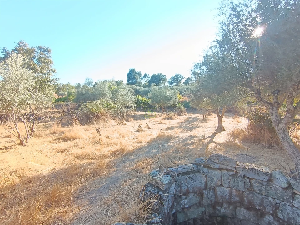 Terreno Agricola ou Rústico para Venda em Aldeia do Bispo, Águas e Aldeia de João Pires Foto 22