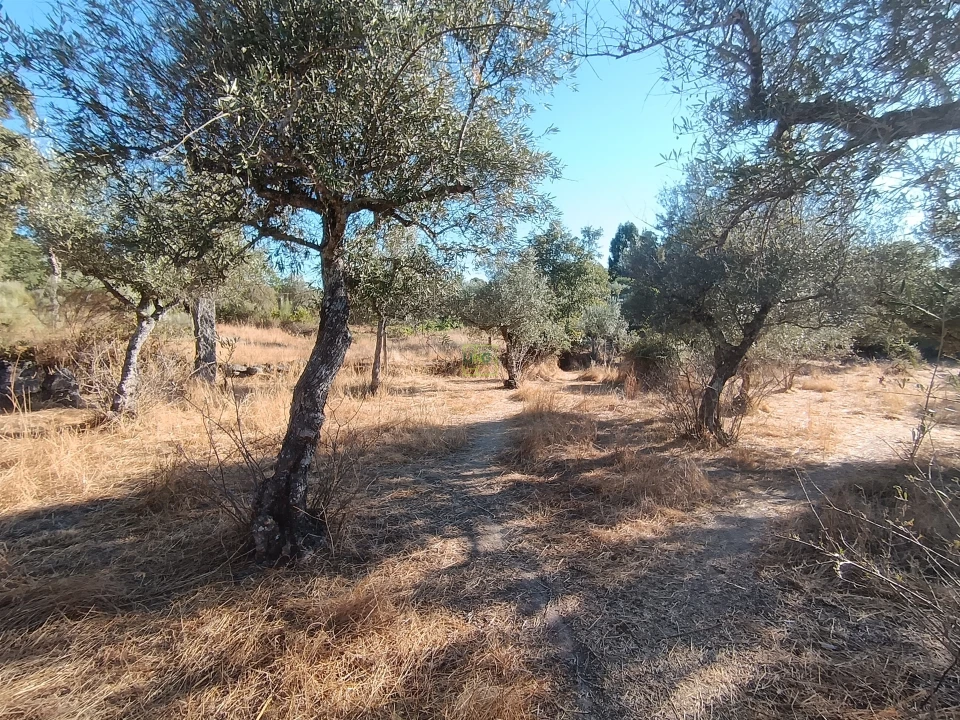 Terreno Agricola ou Rústico para Venda em Aldeia do Bispo, Águas e Aldeia de João Pires Foto 26