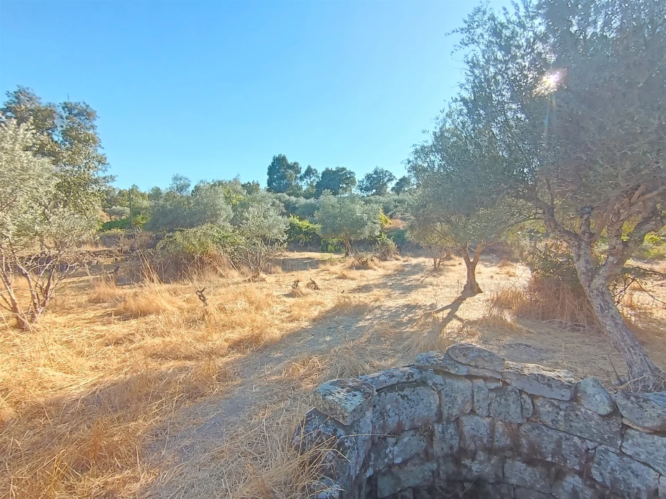 Terreno Agricola ou Rústico para Venda em Aldeia do Bispo, Águas e Aldeia de João Pires Foto 21
