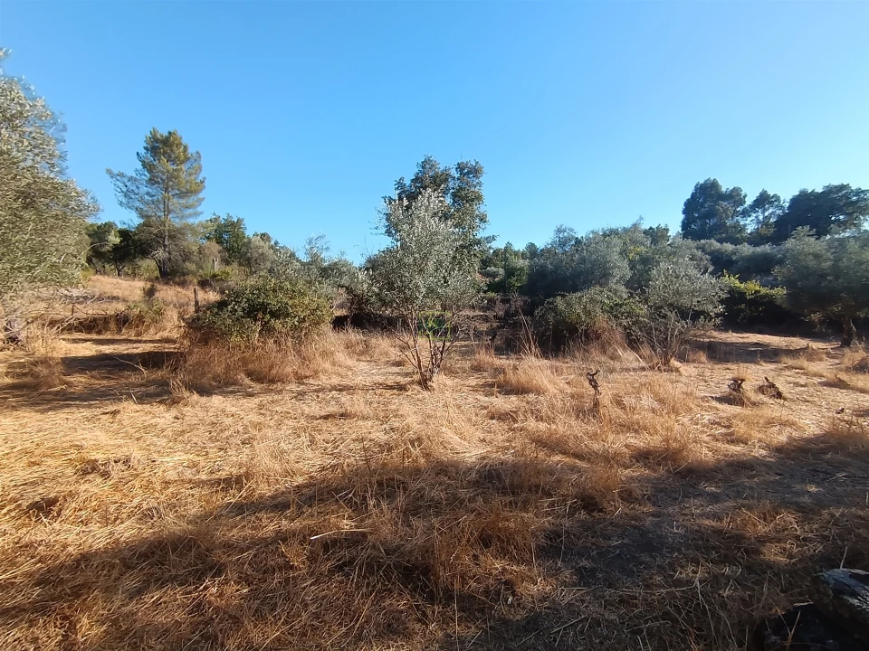 Terreno Agricola ou Rústico para Venda em Aldeia do Bispo, Águas e Aldeia de João Pires Foto 23