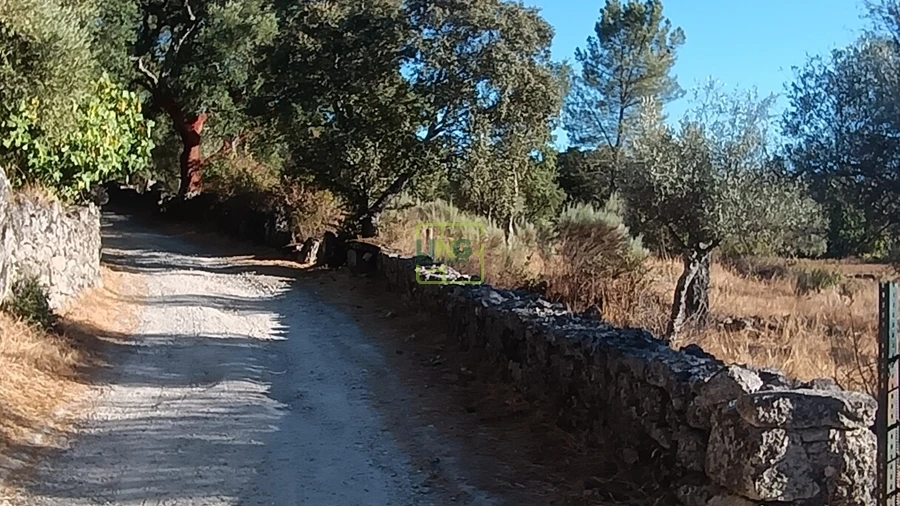Terreno Agricola ou Rústico para Venda em Aldeia do Bispo, Águas e Aldeia de João Pires
