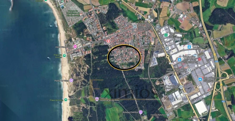 Terreno para Venda em Arvore