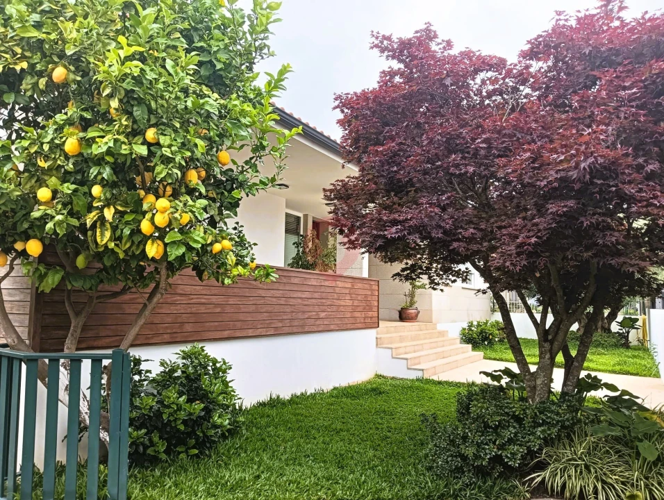 Moradia T4 para Venda em Mazedo e Cortes Foto 5