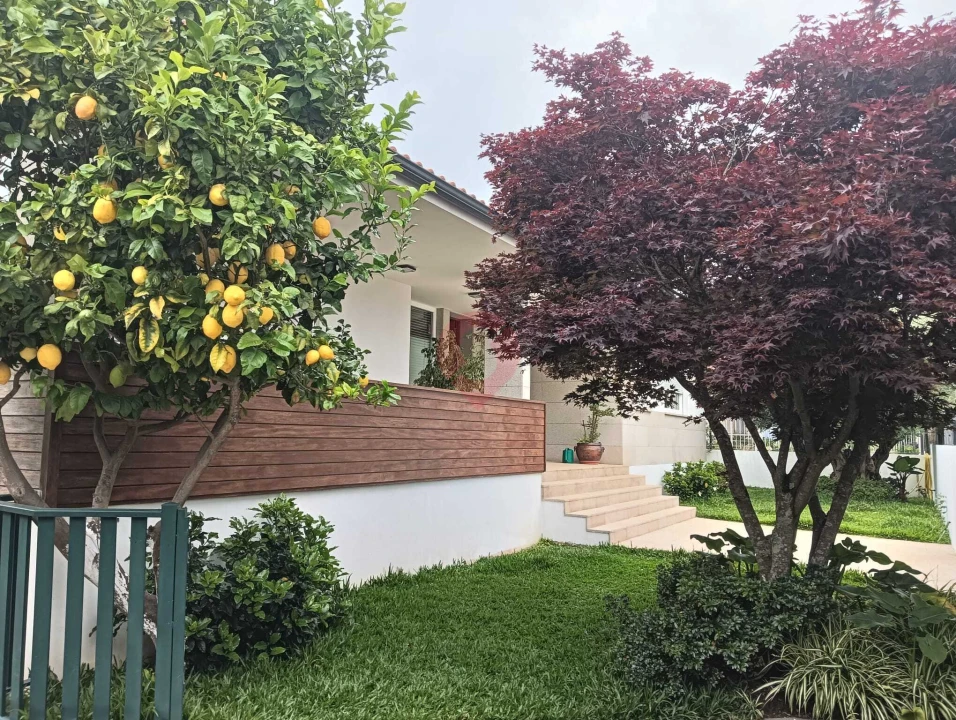 Moradia T4 para Venda em Mazedo e Cortes Foto 2