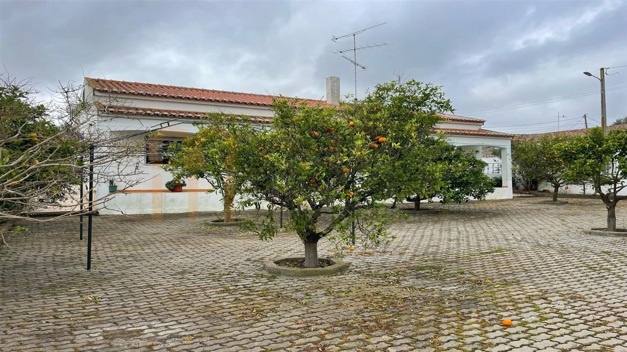 Moradia T3 para Venda em Santana de Cambas Foto 33