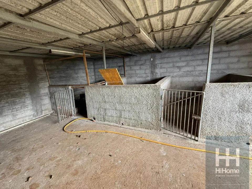 Moradia T1 para Venda em Porto Moniz Foto 18