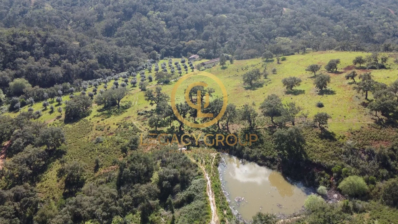 Quinta T4 para Venda em São Salvador e Santa Maria Foto 3