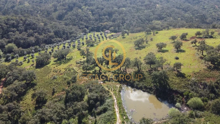 Quinta T4 para Venda em São Salvador e Santa Maria Foto 3