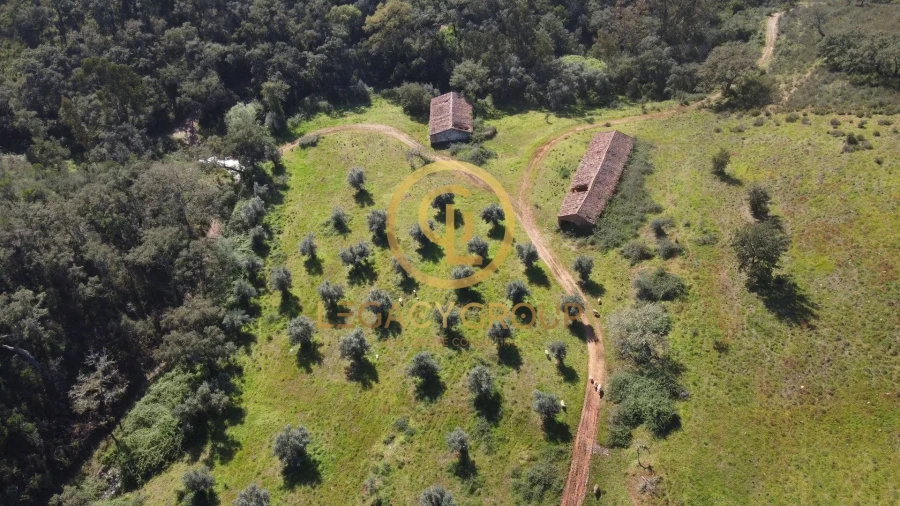 Quinta T4 para Venda em São Salvador e Santa Maria Foto 1