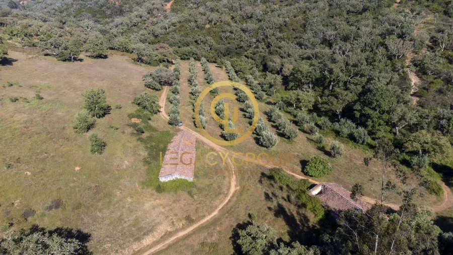 Quinta T4 para Venda em São Salvador e Santa Maria Foto 12