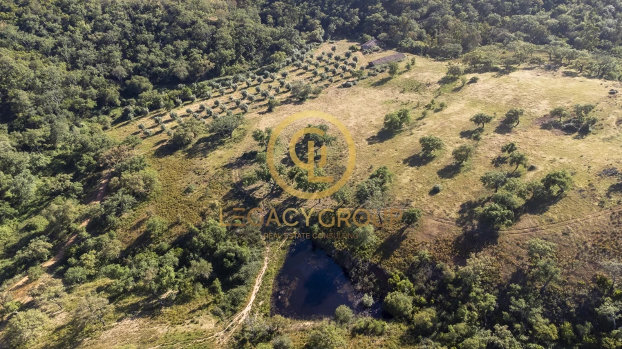 Quinta T4 para Venda em São Salvador e Santa Maria Foto 19