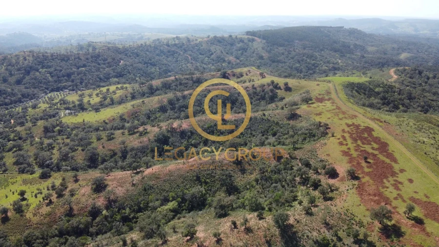 Quinta T4 para Venda em São Salvador e Santa Maria Foto 4