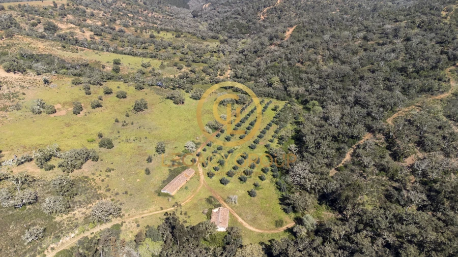 Quinta T4 para Venda em São Salvador e Santa Maria Foto 2