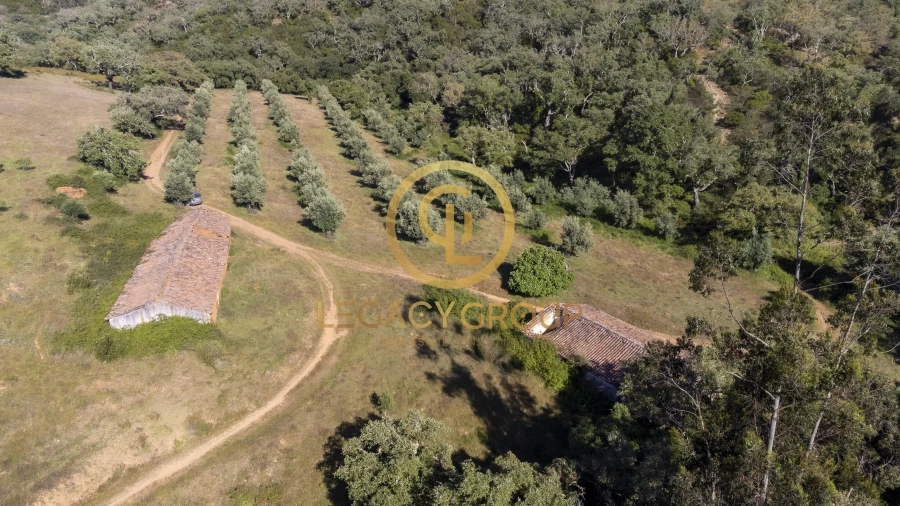 Quinta T4 para Venda em São Salvador e Santa Maria Foto 11