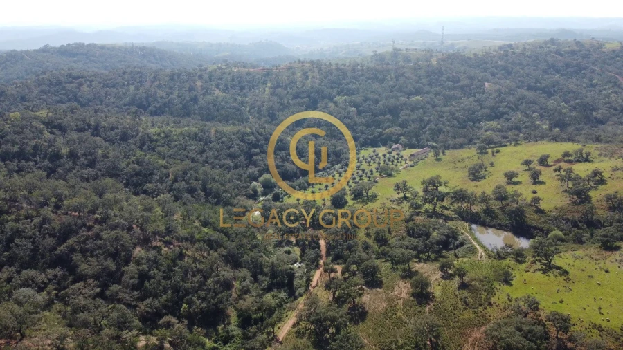 Quinta T4 para Venda em São Salvador e Santa Maria Foto 6