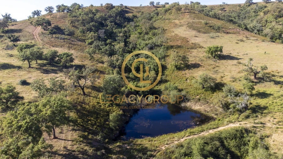 Quinta T4 para Venda em São Salvador e Santa Maria Foto 16