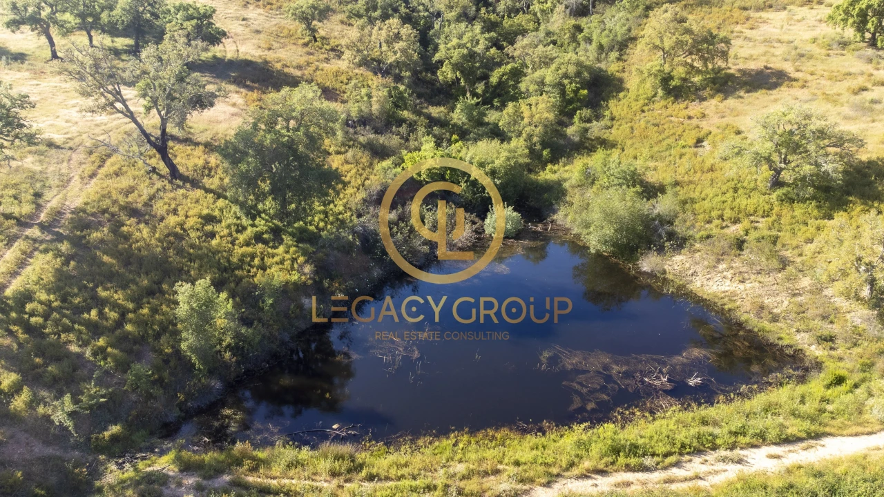 Quinta T4 para Venda em São Salvador e Santa Maria Foto 17