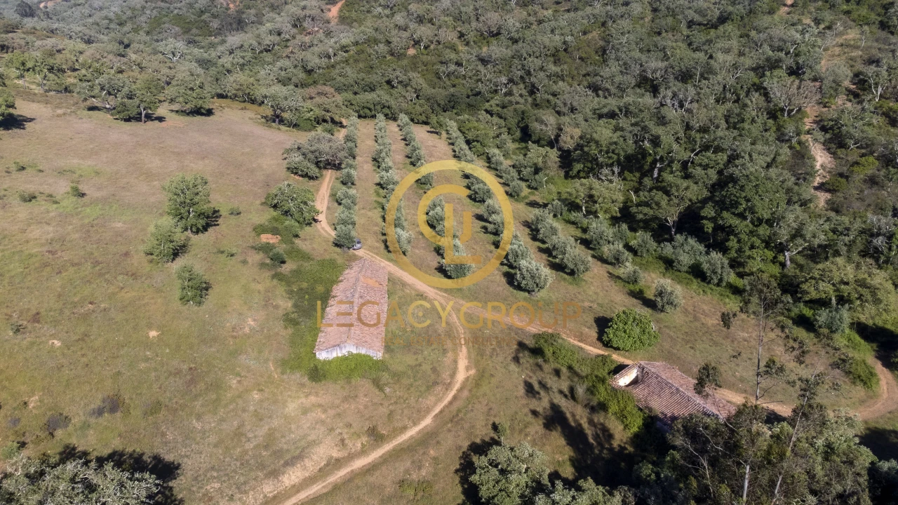 Quinta T4 para Venda em São Salvador e Santa Maria Foto 12