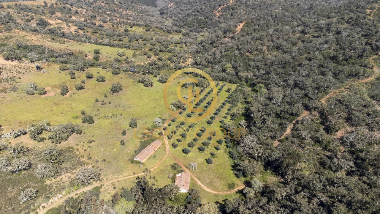 Quinta T4 para Venda em São Salvador e Santa Maria Foto 2