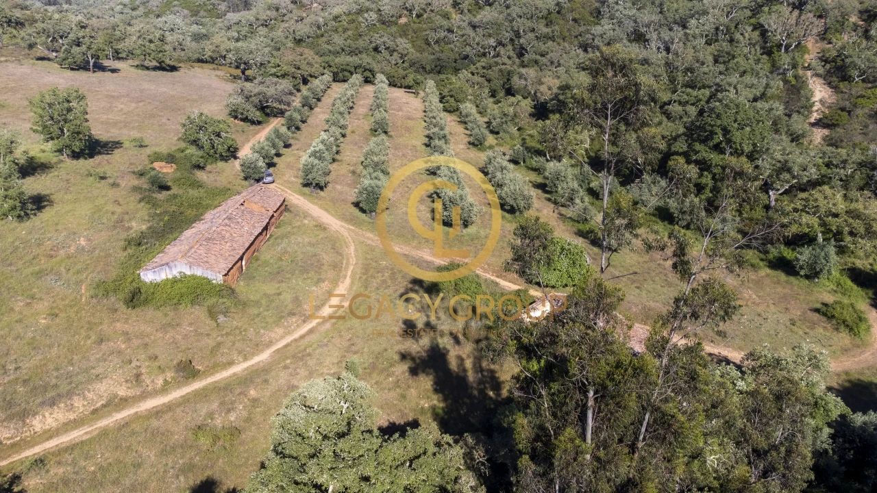 Quinta T4 para Venda em São Salvador e Santa Maria Foto 10