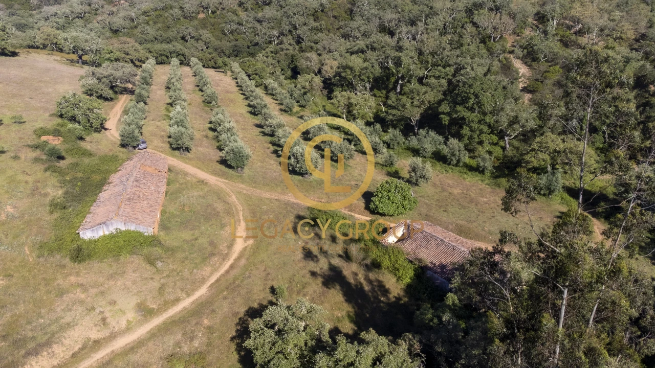 Quinta T4 para Venda em São Salvador e Santa Maria Foto 11