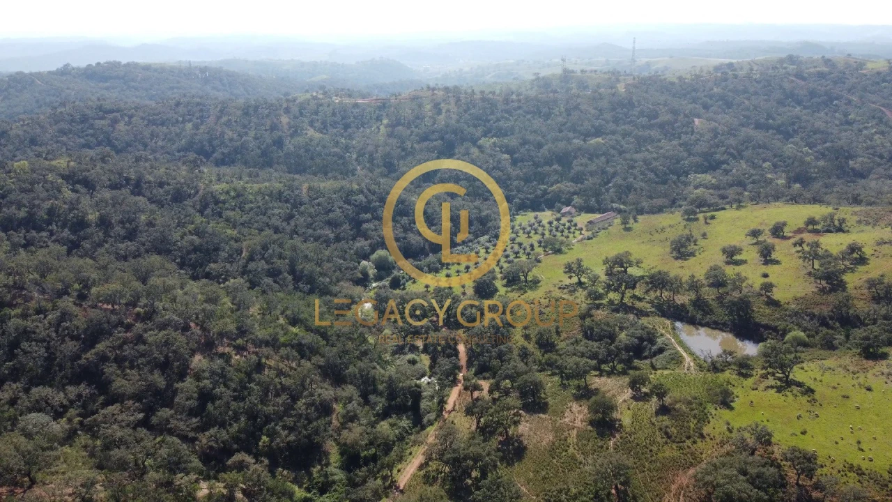 Quinta T4 para Venda em São Salvador e Santa Maria Foto 6