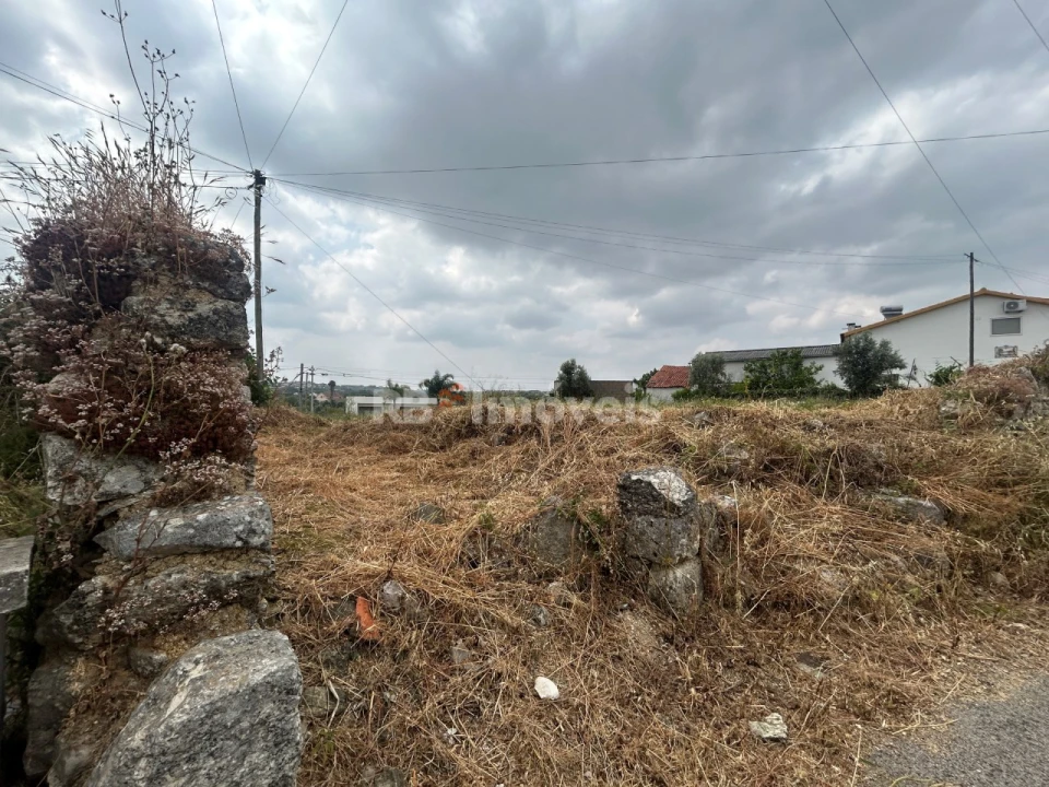 Terreno para Venda em Paialvo Foto 6