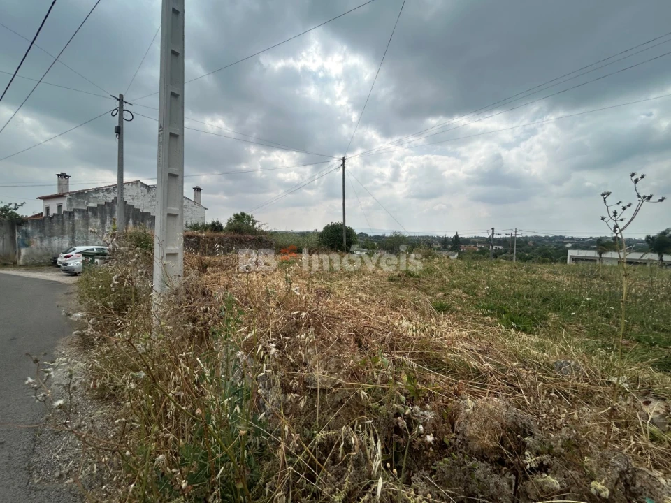 Terreno para Venda em Paialvo Foto 16