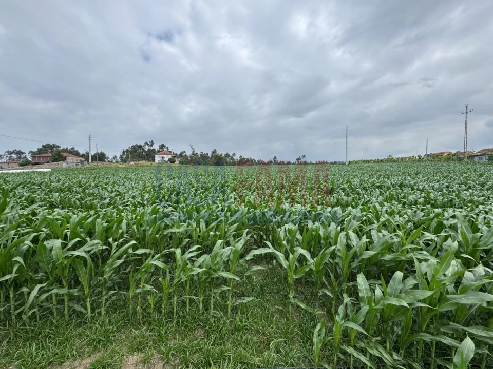 Terreno para Venda em Bagunte, Ferreiró, Outeiro Maior e Parada Foto 8