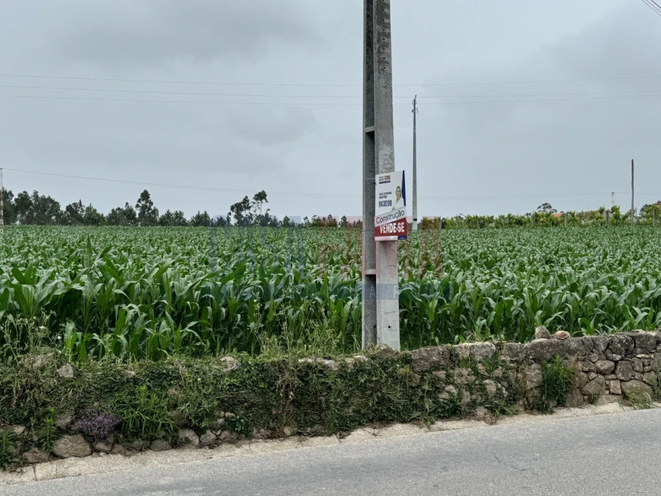 Terreno para Venda em Bagunte, Ferreiró, Outeiro Maior e Parada Foto 17