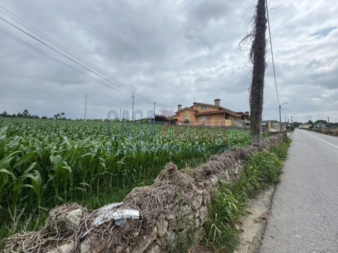 Terreno para Venda em Bagunte, Ferreiró, Outeiro Maior e Parada Foto 2