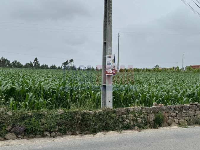 Terreno para Venda em Bagunte, Ferreiró, Outeiro Maior e Parada Foto 16