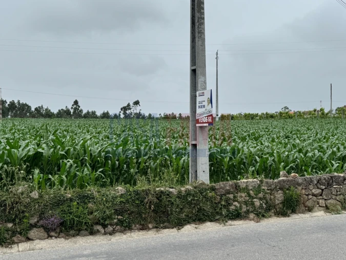 Terreno para Venda em Bagunte, Ferreiró, Outeiro Maior e Parada Foto 17