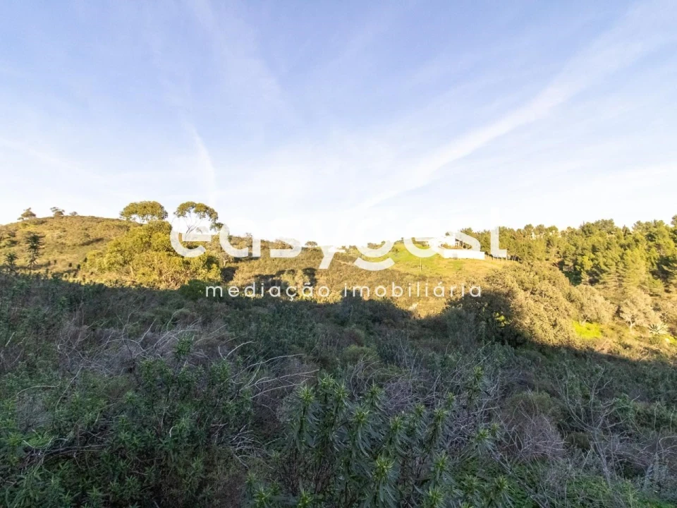 Terreno Agricola ou Rústico para Venda em Castro Marim Foto 4