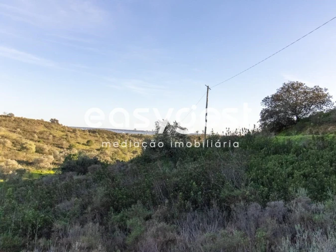 Terreno Agricola ou Rústico para Venda em Castro Marim Foto 6