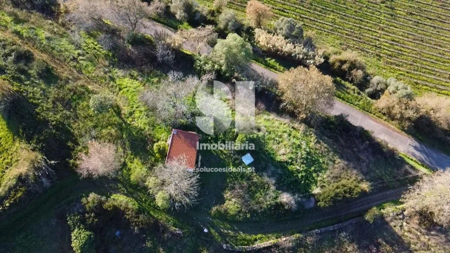 Terreno para Venda em Dois Portos e Runa Foto 13