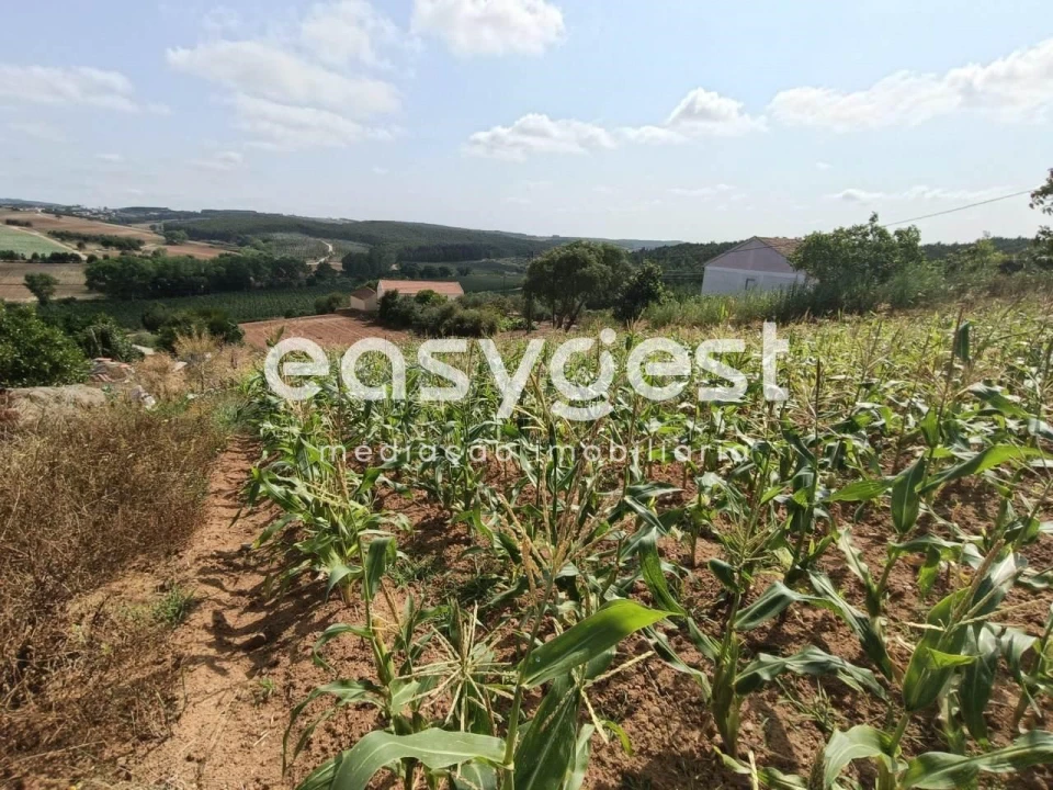 Terreno Agricola ou Rústico para Venda em Campelos e Outeiro da Cabeça Foto 10