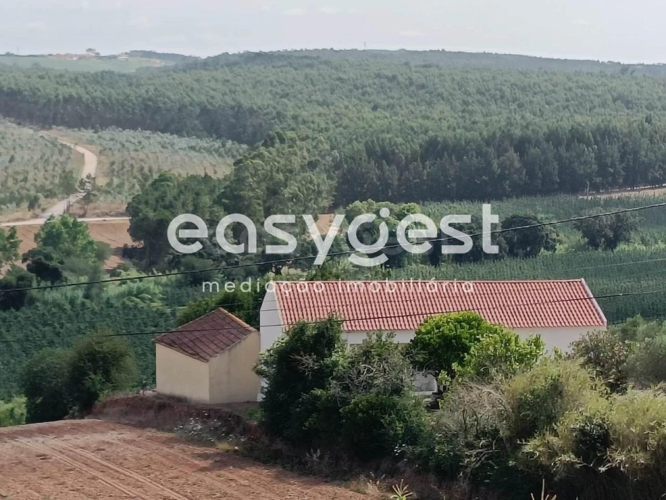 Terreno Agricola ou Rústico para Venda em Campelos e Outeiro da Cabeça Foto 13