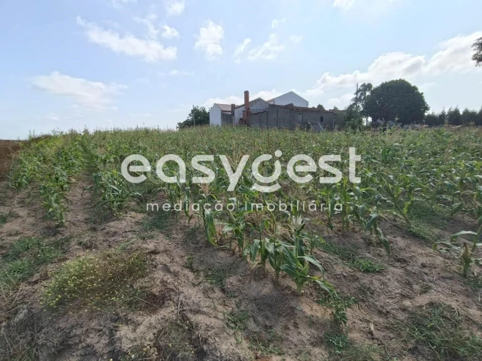 Terreno Agricola ou Rústico para Venda em Campelos e Outeiro da Cabeça Foto 6