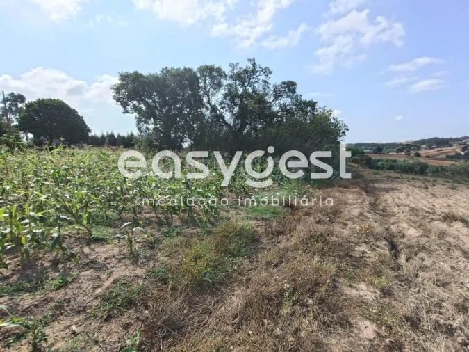 Terreno Agricola ou Rústico para Venda em Campelos e Outeiro da Cabeça Foto 8