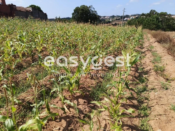Terreno Agricola ou Rústico para Venda em Campelos e Outeiro da Cabeça Foto 9