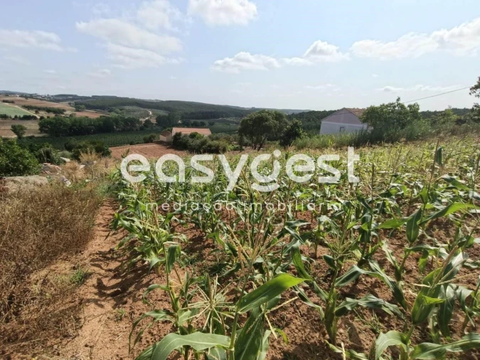 Terreno Agricola ou Rústico para Venda em Campelos e Outeiro da Cabeça Foto 10